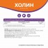 БАД к пище Холин