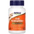 NOW Foods Пробиотик 4x6 Acidophilus, 60 растительных капсул